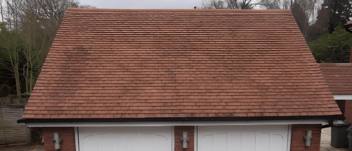 About Birdmuck & Moss Ltd