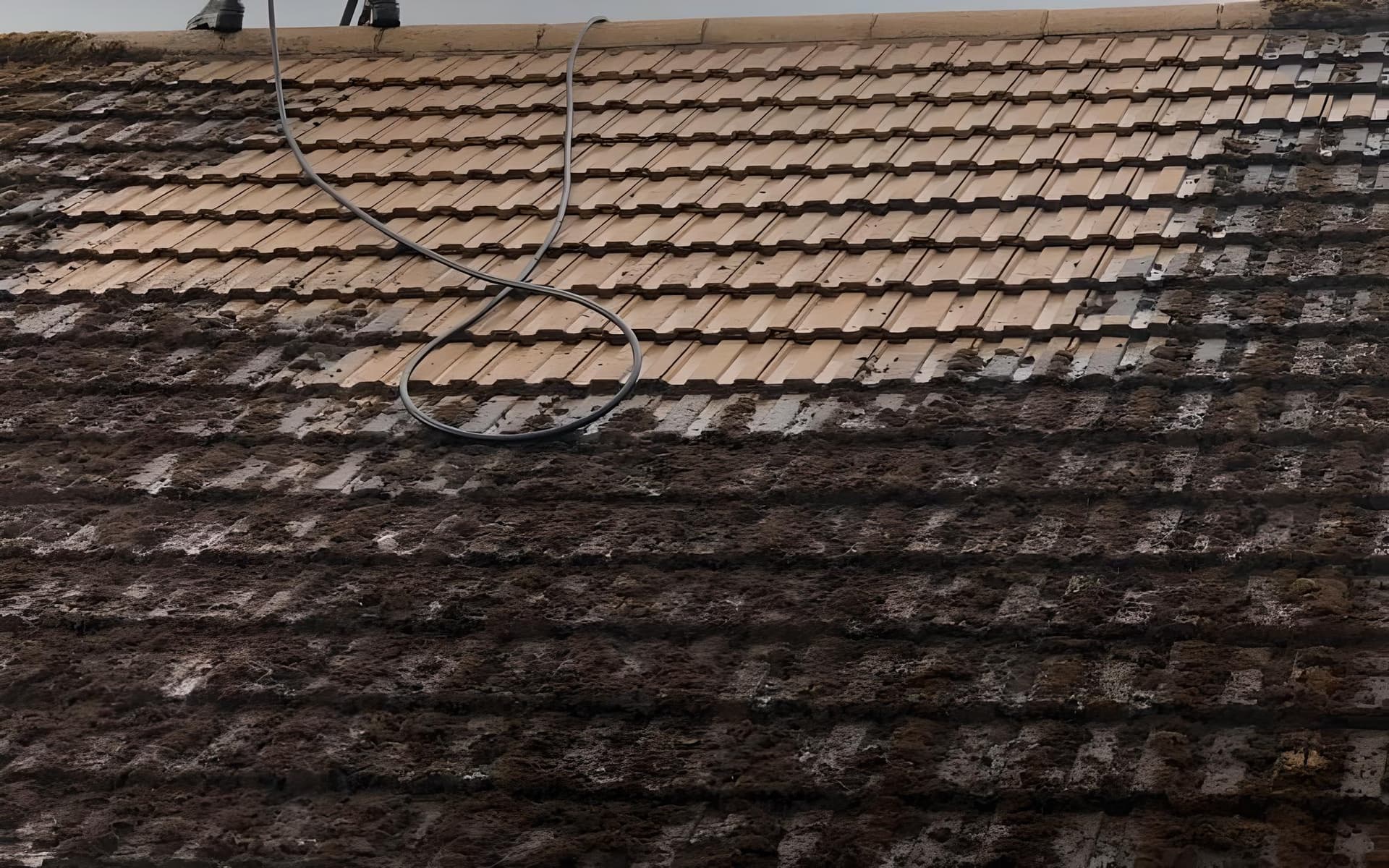 Fast, Local Roof Cleaning in Derby