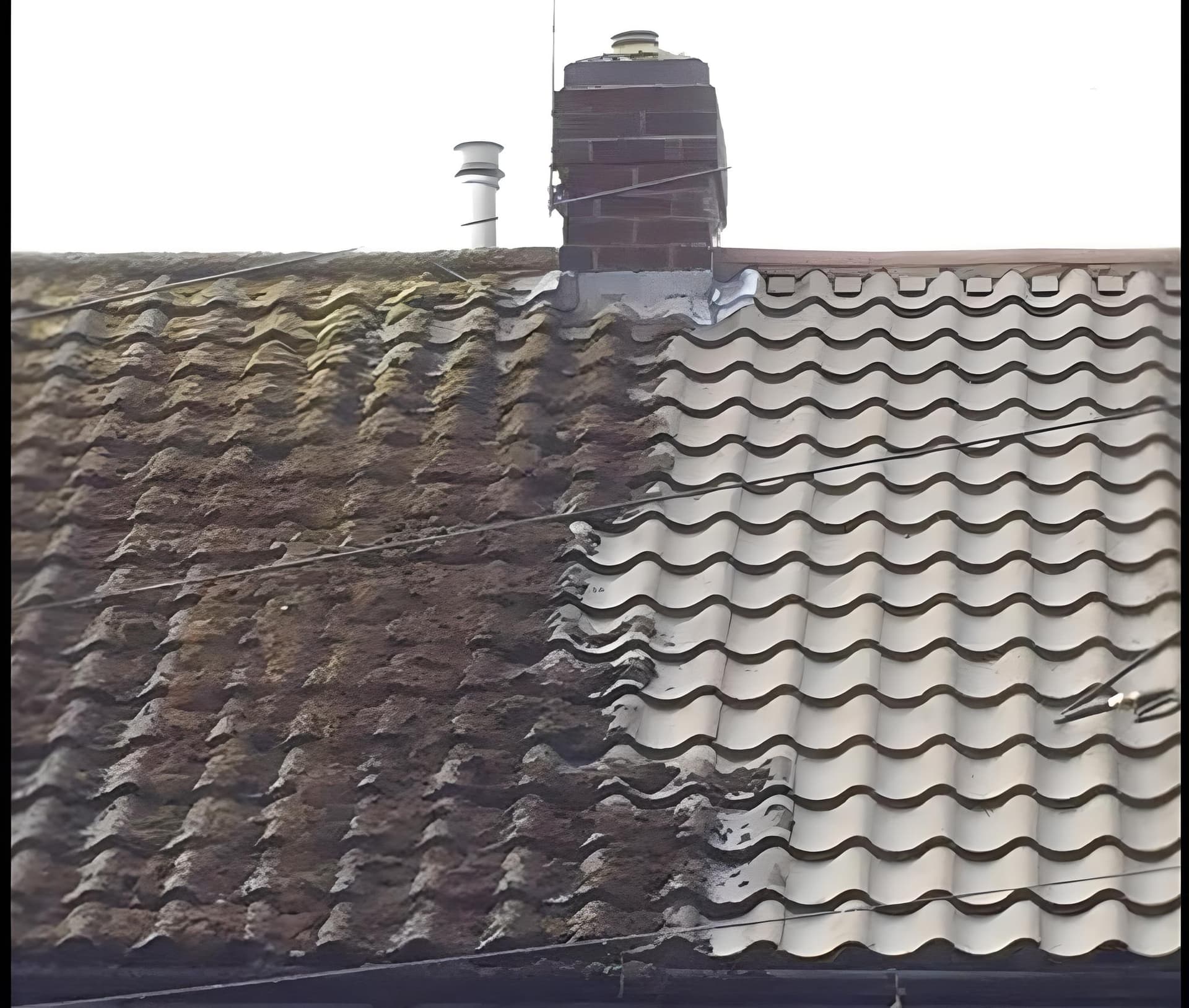 Covering Ripley: Roof Cleaning Done Properly