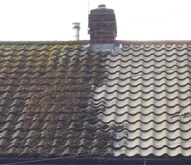 Moss Removal